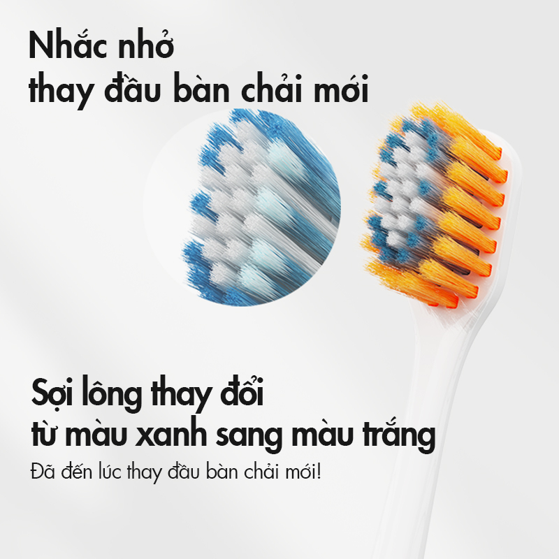 Ảnh Đầu bàn chải kissday KBH01 - Phụ kiện chính hãng 2