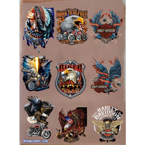 HÌNH ỦI ÉP NHIỆT-Sticker logo Đại Bàng[ IN ÁO ĐẸP-MẦU SẮC ẤN TƯỢNG- Hàng thiết kế] .IN ỦI TRỰC TIẾP BẰNG BÀN LÀ.BÀN ỦI