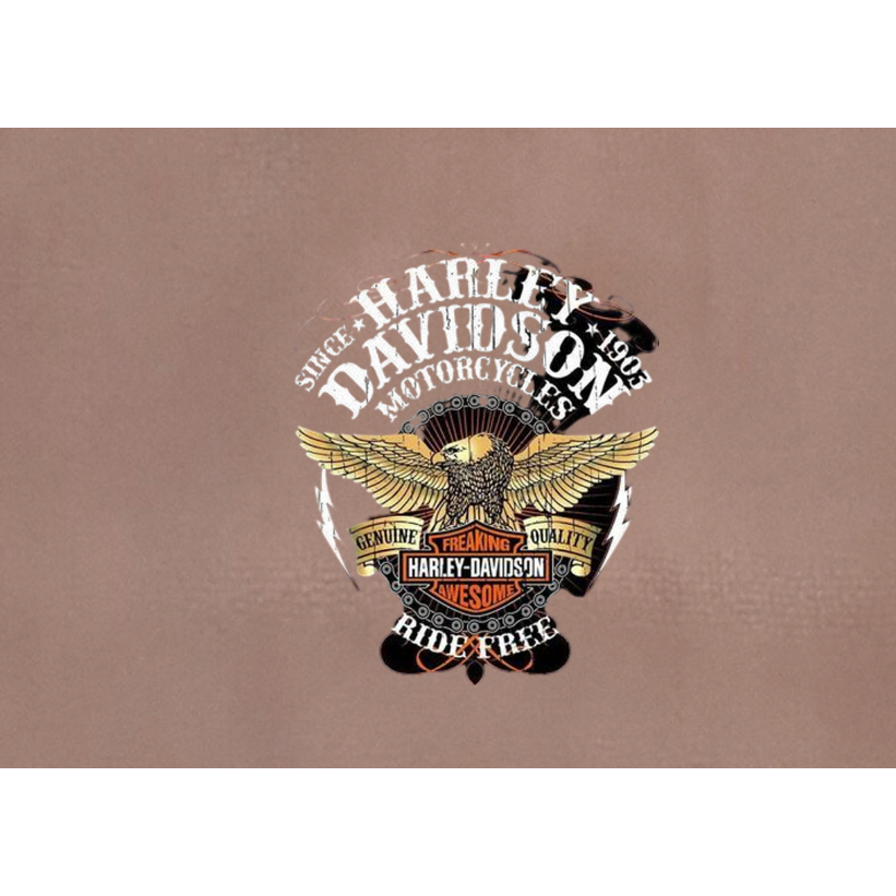 HÌNH ỦI ÉP NHIỆT-Sticker logo Đại Bàng[  IN ÁO ĐẸP-MẦU SẮC ẤN TƯỢNG- Hàng thiết kế] .IN ỦI TRỰC TIẾP BẰNG BÀN LÀ.BÀN ỦI