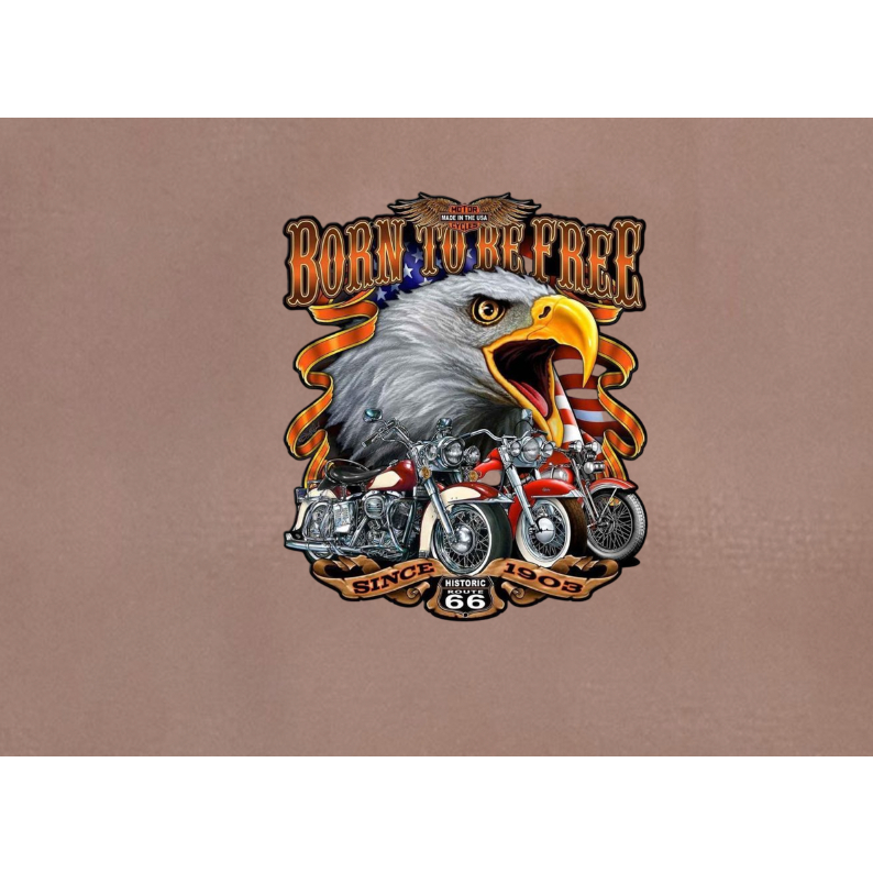 HÌNH ỦI ÉP NHIỆT-Sticker logo Đại Bàng[  IN ÁO ĐẸP-MẦU SẮC ẤN TƯỢNG- Hàng thiết kế] .IN ỦI TRỰC TIẾP BẰNG BÀN LÀ.BÀN ỦI