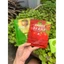 Combo 100 miếng mặt nạ (70 hoa quả + 30 tinh chất)