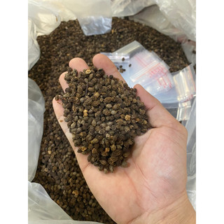 80 hạt giống đu đủ f1 (siêu hoa)