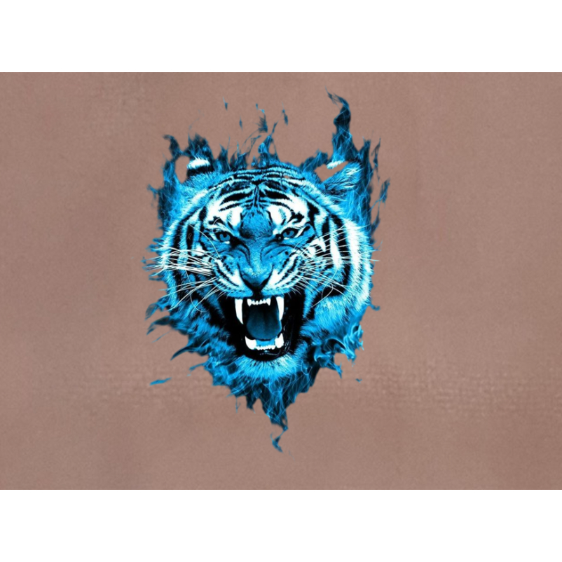 HÌNH ỦI QUẦN ÁO-Sticker logo CỌP ỦI ÁO ĐẸP.CHẤT LƯỢNG- Hàng thiết kế .IN ỦI TRỰC TIẾP BẰNG BÀN LÀ.BÀN ỦI