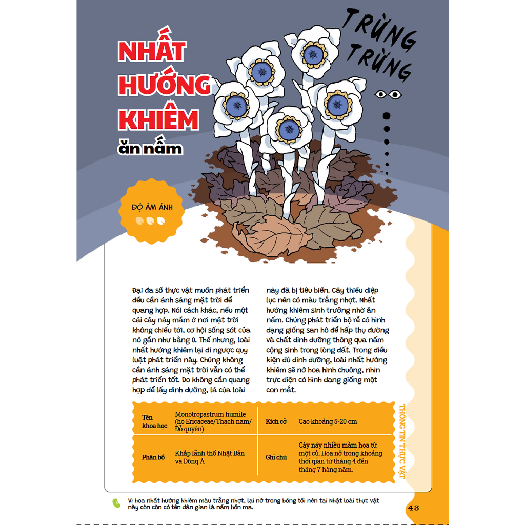 Ảnh Sách - Cẩm nang cỏ cây kì quái - Tất tần tật về những loài thực vật thú vị và quái dị quanh ta 3