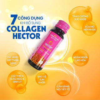Nước uống collagen đông trùng hạ thảo Hector hộp 10 chai