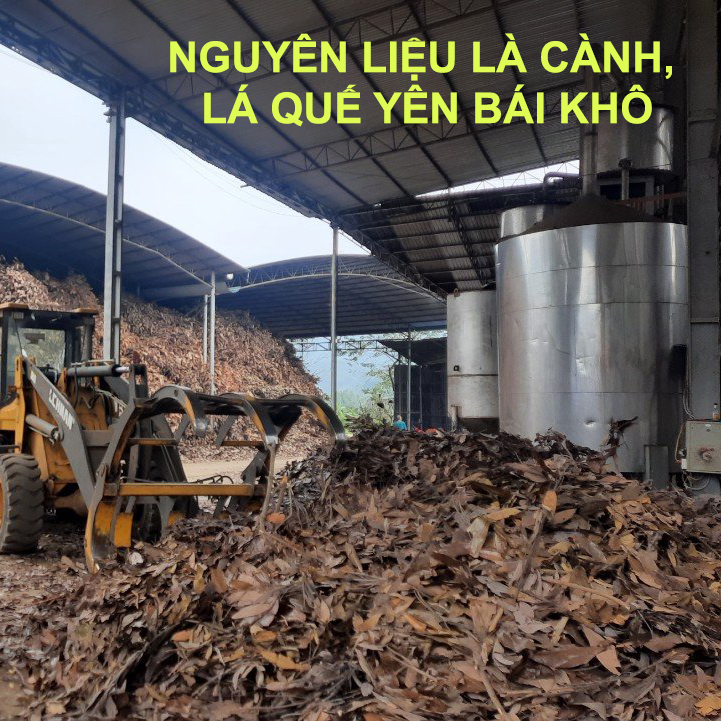 Tinh dầu quế Yên Bái nguyên chất - Tinh dầu quế nồng Origin 30ml
