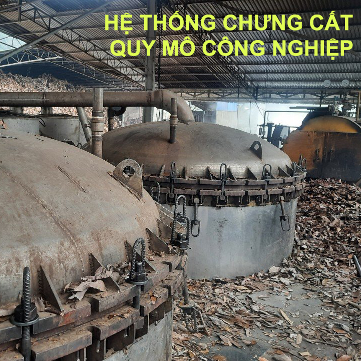 Tinh dầu quế Yên Bái nguyên chất - Tinh dầu quế nồng Origin 30ml