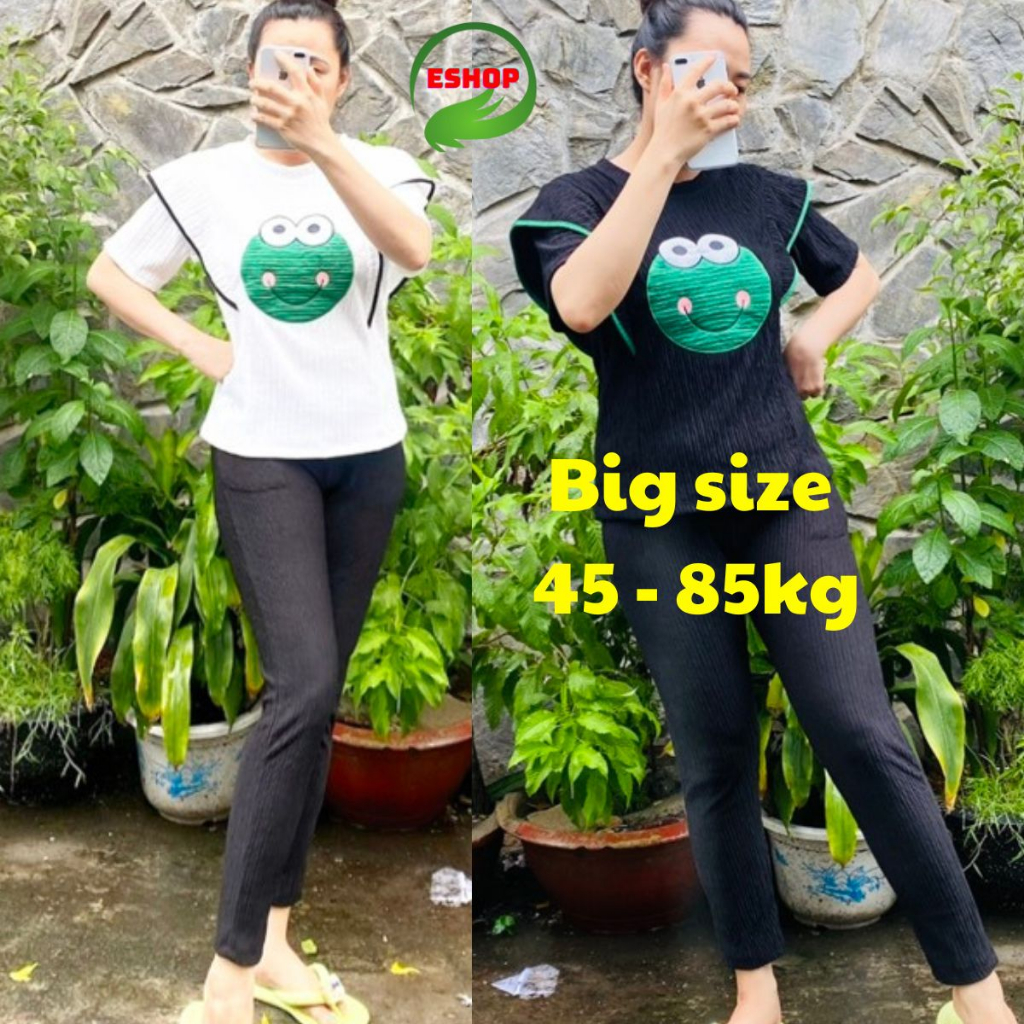 Set Đồ Nữ Sang Chảnh Bigsize Bộ Đồ Ếch Quần Dài Vải Xốp Nhật ESHOP Thời Trang Nữ Mặc Nhà Đi Chơi Đẹp Dễ Thương DX68