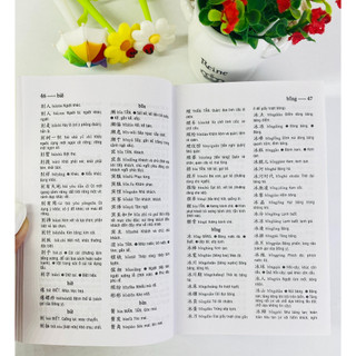Sách - Từ điển Trung Việt (bìa mềm) 10x16cm - ndbooks