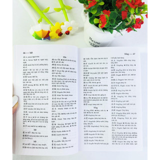 Sách - Từ điển Trung Việt (bìa mềm) 10x16cm - ndbooks