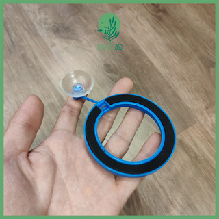 Vòng Cho Cá Ăn - Giữ Thức Ăn Không Bị Phân Tán