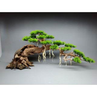 Gỗ lũa bonsai dành cho bể cá cảnh, bể thủy sinh kích thước bể 90cm trở lên.Tán tùng nhựa. Mẫu dáng huyền