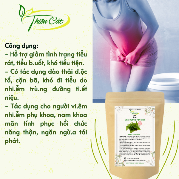 Sử dụng Trà thảo mộc hỗ trợ đường tiết niệu trong đời sống