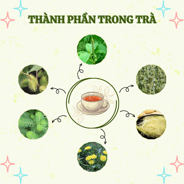 Chất lượng Trà hỗ trợ đường tiết niệu