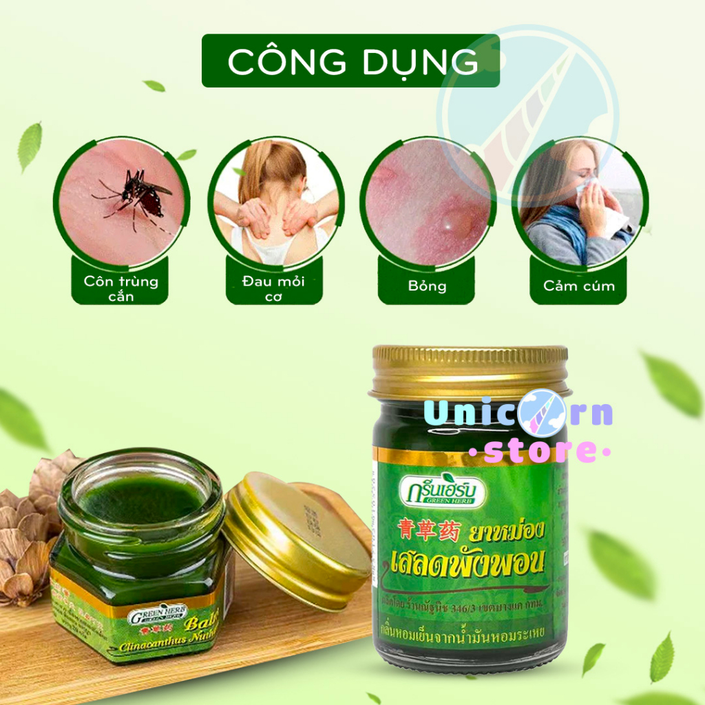 Dầu Cù Là Thơm Clinacanthus Nuthans Green Herb Thái Lan