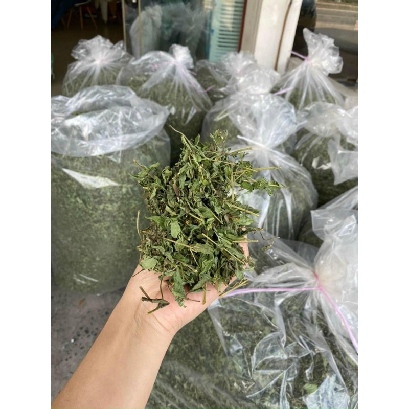 Cỏ ngọt sấy khô, tốt cho người tiểu đường, ổn định đường huyết, giảm cân, chống béo phì 1kg