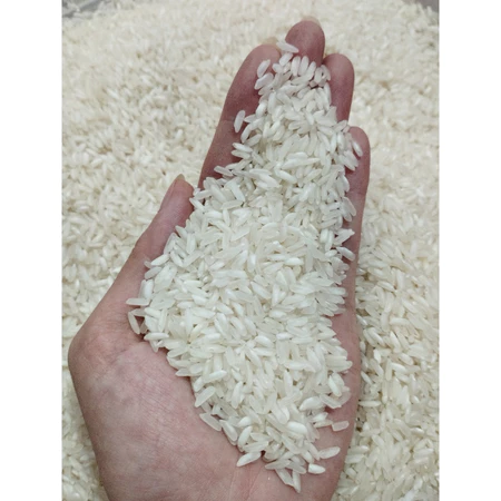 5KG Gạo 504 Nở - Gạo Nở Cơm, Rời Hạt - Bena Organic