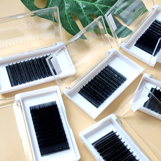 Mi khay LASHES SUPPLY 12 line MÀU ĐEN độ cong CC, chất mi silk Hàn, mềm dễ bắt keo, DỄ BẮT KEO