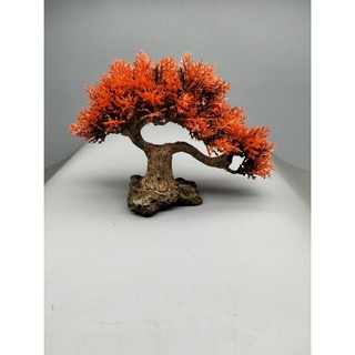 Cây gỗ lũa cho bể cá cảnh. Mẫu 2 tán cao 12 ngang 20 cm