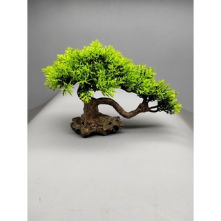 Cây gỗ lũa cho bể cá cảnh. Mẫu 2 tán cao 12 ngang 20 cm
