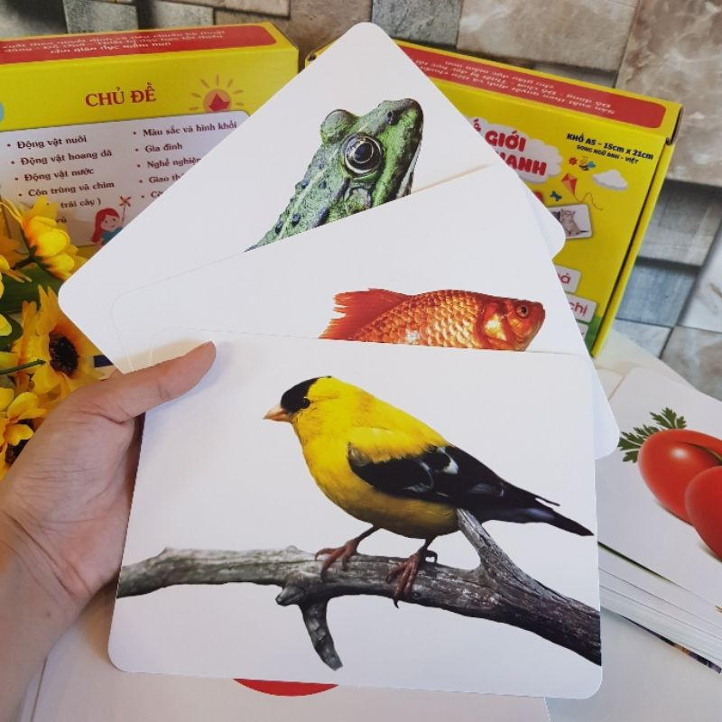 Ảnh Flashcard - 100 Thẻ Học Thông Minh Song Ngữ Khổ Lớn A5 - Giúp Bé Nhận Biết Thế Giới Xung Quanh (Dành cho bé 0 - 5 tuổi) 1