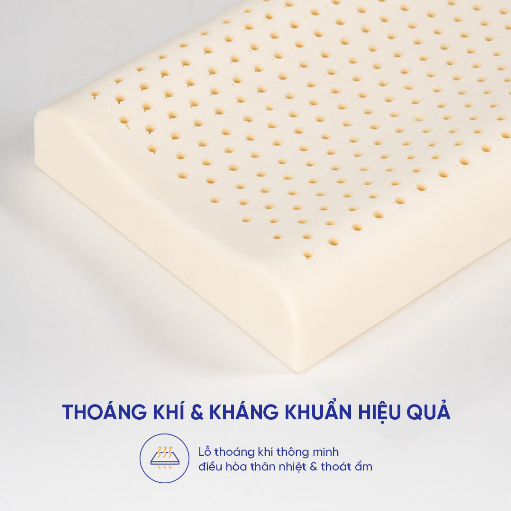Ảnh Gối Cao Su Thiên Nhiên Gummi Pudding Thiết Kế Công Thái Học Lượn Sóng Nâng Đỡ Thoáng Khí Dành Cho Người Nằm Thấp 3