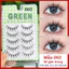 Lông Mi Giả GREEN Gân Trong Tự Nhiên Mềm Nhẹ 5 cặp
