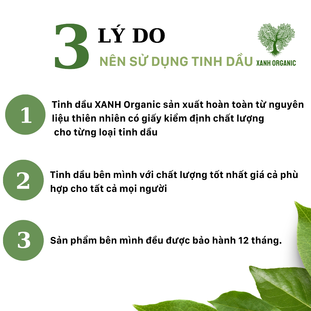 Thiết kế của Lọ Tinh Dầu Thiênhiên