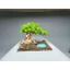 Tiểu cảnh dành cho bể cá cảnh mini kích thước 30 đến 50 cm. Bể nuôi cá bảy màu, beta, cá cảnh nhỏ