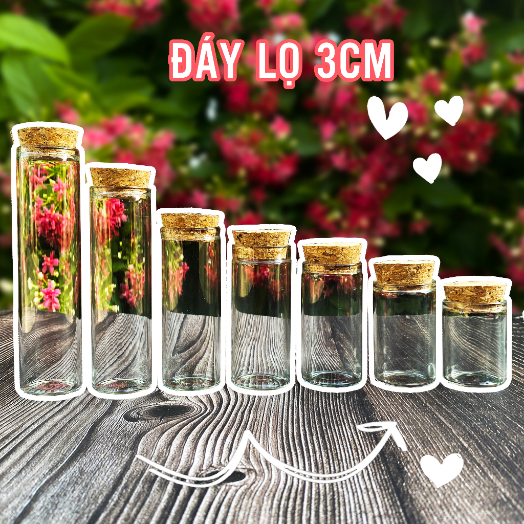 Combo 5 Lọ thủy tinh mini nắp gỗ MIỆNG RỘNG ĐÁY 3CM - Chai lọ thuỷ tinh ...