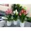 cây lan ý giả decor - 45cm - hoa giả trang trí - hoa nhân tạo
