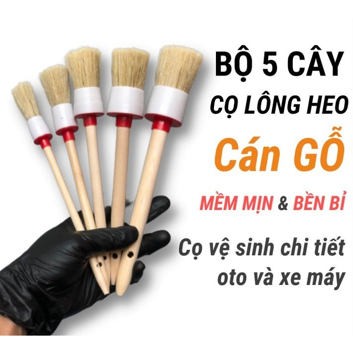 Bộ 5 cây cọ lông heo cán gỗ rửa xe chi tiết | Shopee Việt Nam