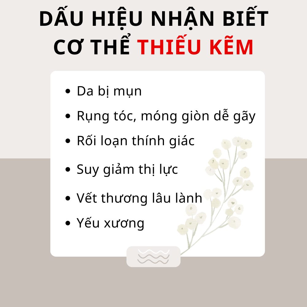 Ảnh Viên uống VTM bổ sung Kẽm ZinC hỗ trợ tăng cường sức đề kháng 3