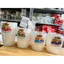 Hộp nhựa tròn có nắp dùng được lò vi sóng đủ size 350ml-500ml-600ml-700ml