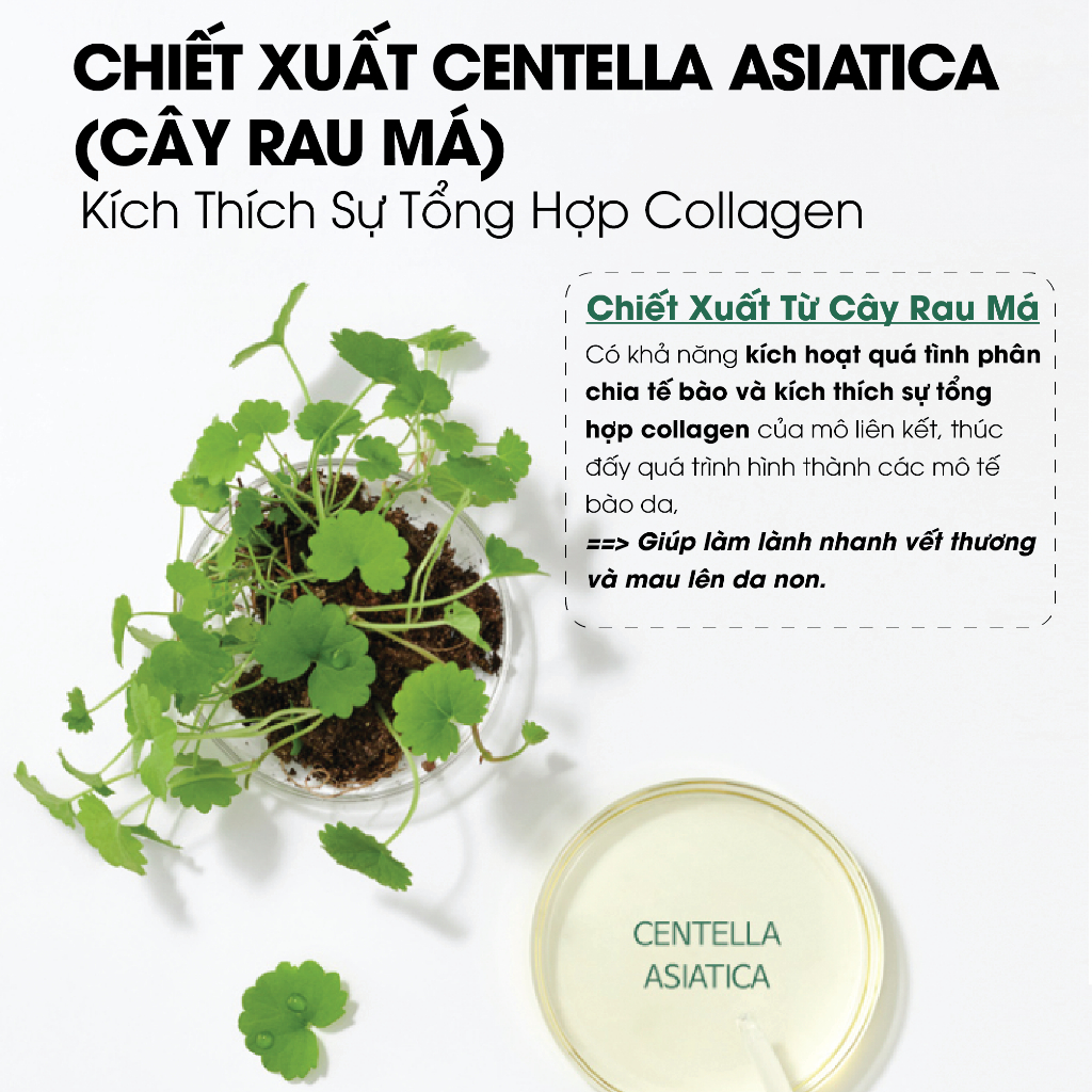 Ảnh Gel Rửa Mặt Cấp Ẩm Dịu Nhẹ AMPLE:N Centel Calming Shot First Gel Cleanser 150ml 4