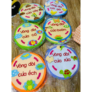 BẢNG VÒNG ĐỜI LẮP GHÉP 45cm - đồ chơi mầm non