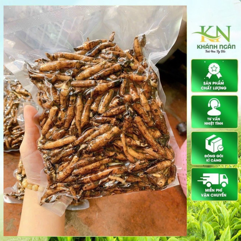 Sâm tiên mao rừng tươi(Sâm Cau Đen,Bổ Can Thận,Cường Gân Cốt)1kg