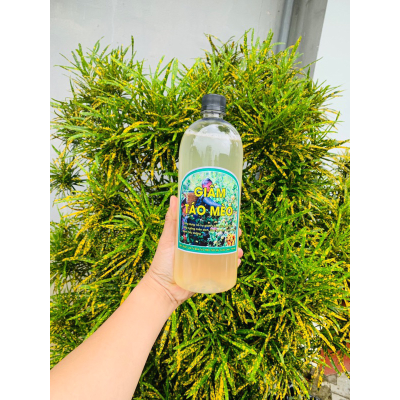 Giấm Táo Mèo ,Giấm Táo Hữu Cơ  Giảm Cân Hiệu Quả ,Nguyên Liệu Thiên Nhiên An Toàn Cho Sức Khỏe 1Lít
