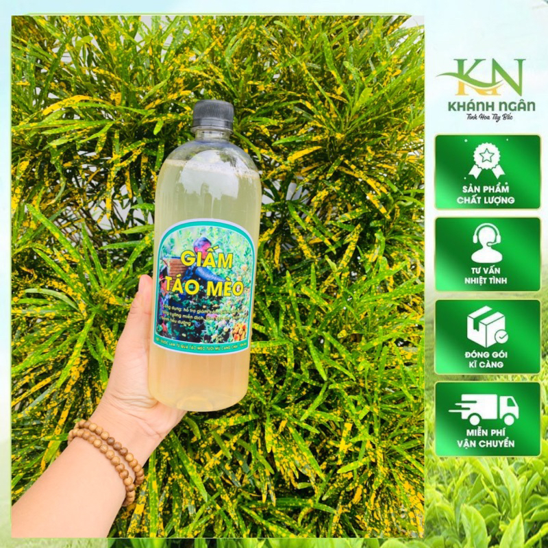 Giấm Táo Mèo ,Giấm Táo Hữu Cơ  Giảm Cân Hiệu Quả ,Nguyên Liệu Thiên Nhiên An Toàn Cho Sức Khỏe 1Lít