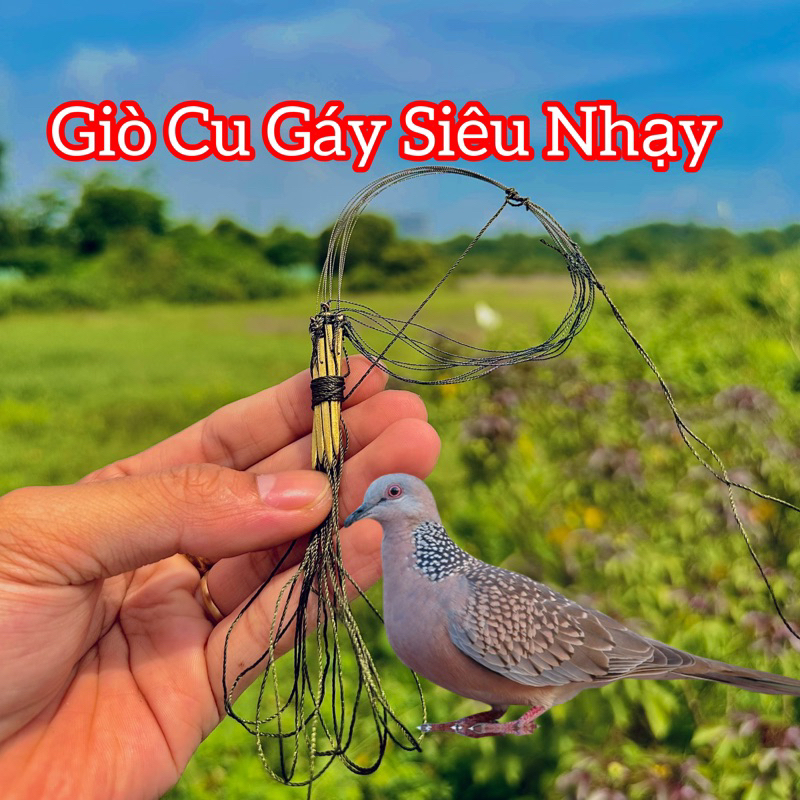 Giò bẫy chim cu gáy chân đồng khoan siêu nhạy | Shopee Việt Nam