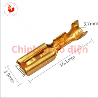 Đầu cos gài nhỏ cho đế ấm siêu tốc 3ly bộ 3 cái