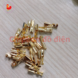 Đầu cos gài nhỏ cho đế ấm siêu tốc 3ly bộ 3 cái