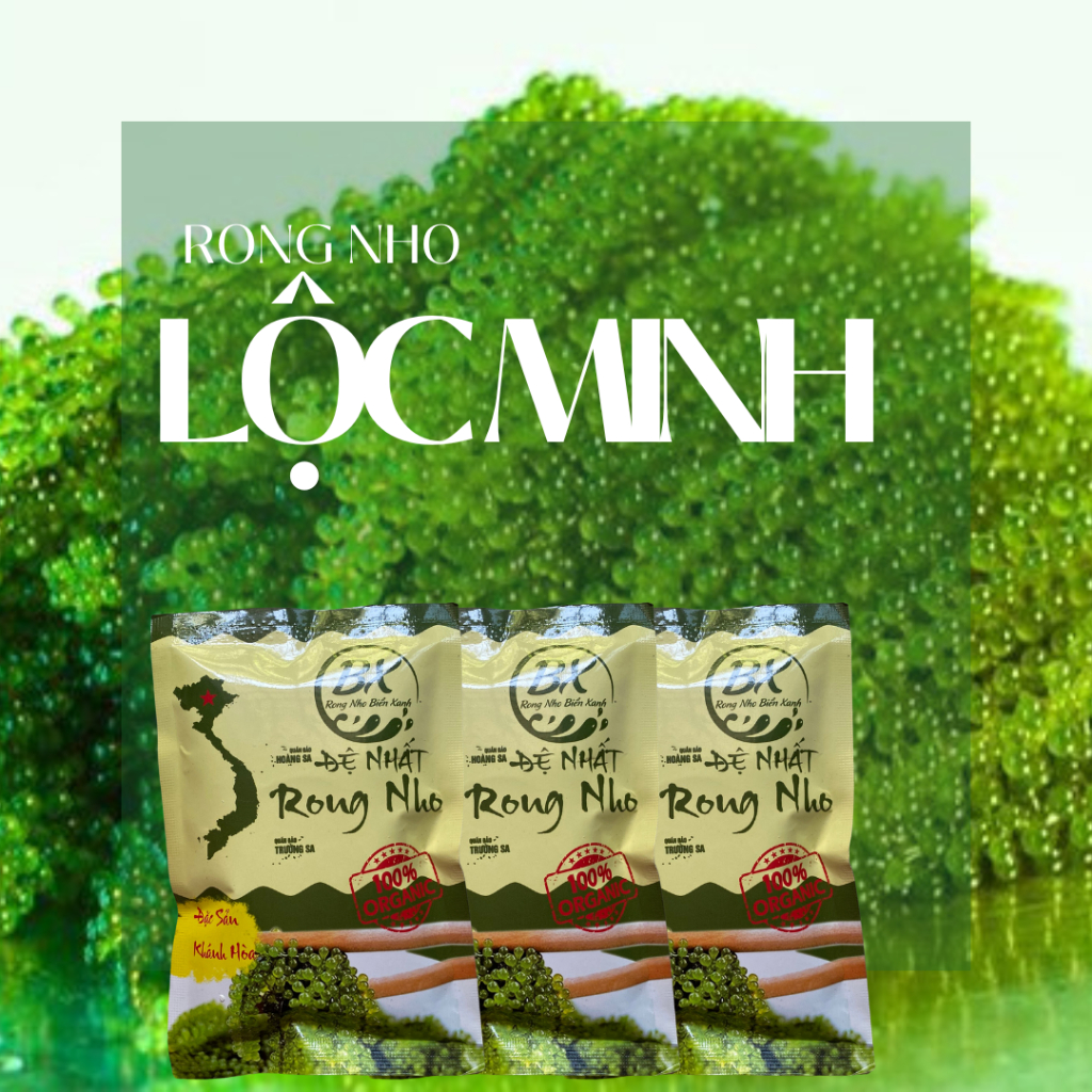 [105GR RONG NHO TƯƠI LOẠI 1] nở từ gói 35gr rong nho tách nhiệt - Xuất ...