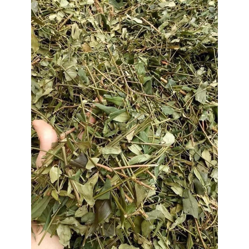 CHÈ VẰNG SẺ LOẠI 1 LỢI SỮA GIẢM CÂN CHO MẸ SAU SINH THƠM NGON DỄ UỐNG 1KG