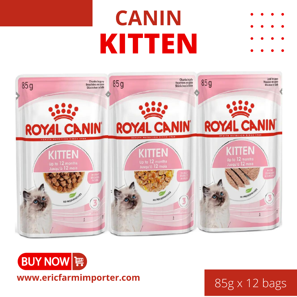 Pate kitten 2024 royal canin