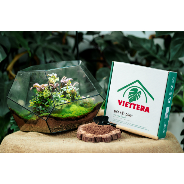 Đất kết dính làm bể Terrarium - Mosswall Soil