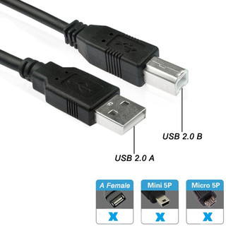 Cáp máy in dài 1.5m / 3 mét / 5 mét có cục chống nhiễu cao cấp
