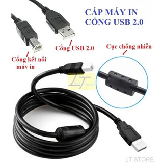 Cáp máy in dài 1.5m / 3 mét / 5 mét có cục chống nhiễu cao cấp
