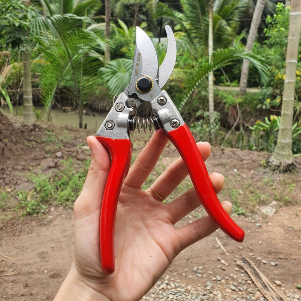 Bộ dụng Cụ Làm Vườn Cây Cảnh Bonsai (Kéo Tỉa Cưa Lách New Kéo Cắt Cành và Cưa Barker kèm 1 lưỡi - GD Smart