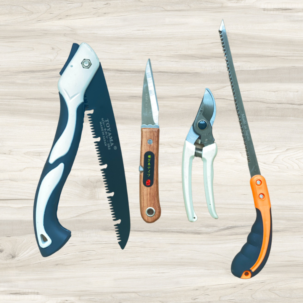 Combo Dụng Cụ Làm Vườn Cây Cảnh Bonsai (Cưa Gập SK5 Kéo Cắt Cành Dao Ghép Cành và Cưa Lách New) - GD Smart